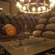 Tour 2 – Jerez Wineries