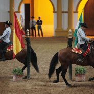 Tour 3 – Jerez Wineries and Royal School of Equestrian Art